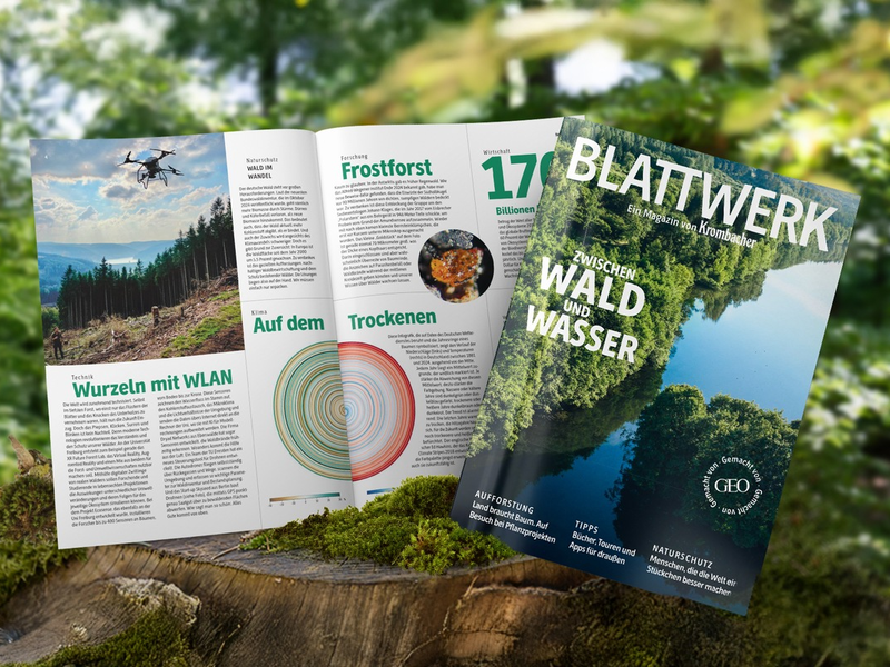 Wald im Fokus: Krombacher veröffentlicht neue Ausgabe des Magazins Blattwerk in Kooperation mit GEO - Foto: presseportal.de