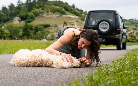 Mediendossier zur ARD-Reihe „Zwei Frauen für alle Felle“ - Foto: presseportal.de