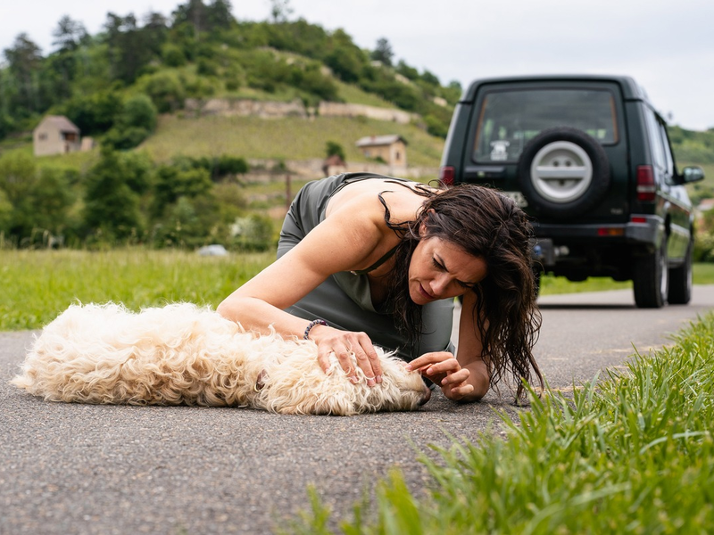 Mediendossier zur ARD-Reihe „Zwei Frauen für alle Felle“ - Foto: presseportal.de