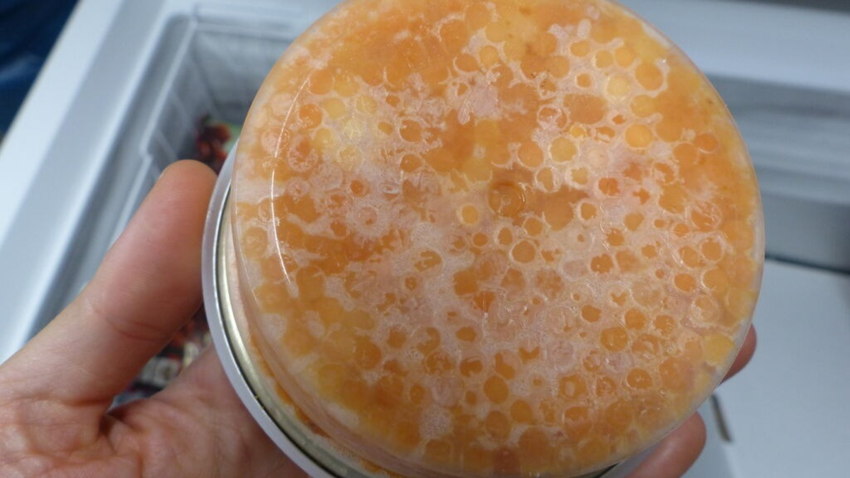 ZOLL-HH: Zollfahnder decken Verstoß gegen Russland- Sanktionen und Steuerhinterziehung von Einfuhrabgaben in Höhe von über einer Million Euro auf - Foto: presseportal.de