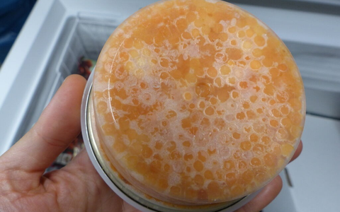 ZOLL-HH: Zollfahnder decken Verstoß gegen Russland- Sanktionen und Steuerhinterziehung von Einfuhrabgaben in Höhe von über einer Million Euro auf - Foto: presseportal.de