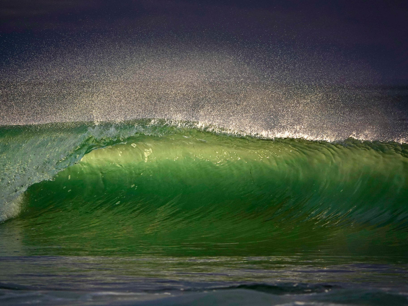 Ein schöner Anblick, aber stark belastet: Die Meere der Welt sind voller kleinster Plastikteilchen.  - Foto: K.C. Alfred/ZUMA Wire/dpa