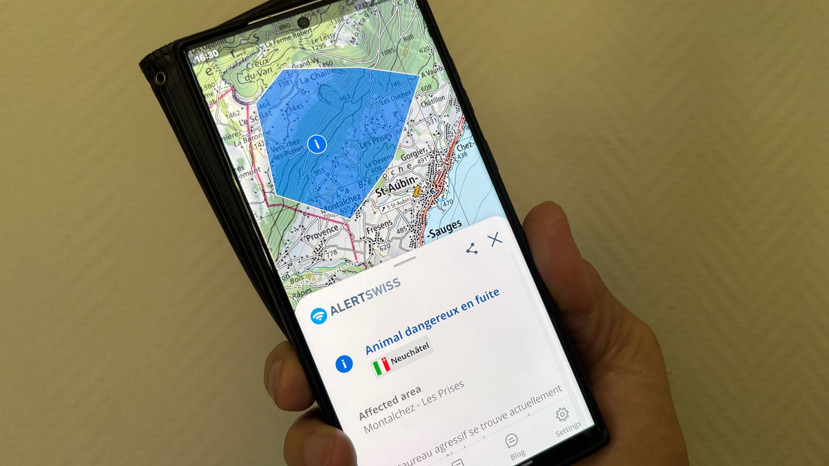 Das Tier wurde gefunden, es wurde niemand verletzt. - Foto: Christiane Oelrich/dpa