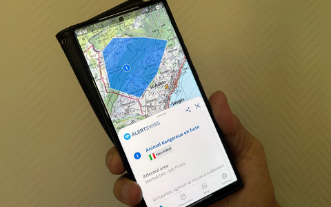 Das Tier wurde gefunden, es wurde niemand verletzt. - Foto: Christiane Oelrich/dpa