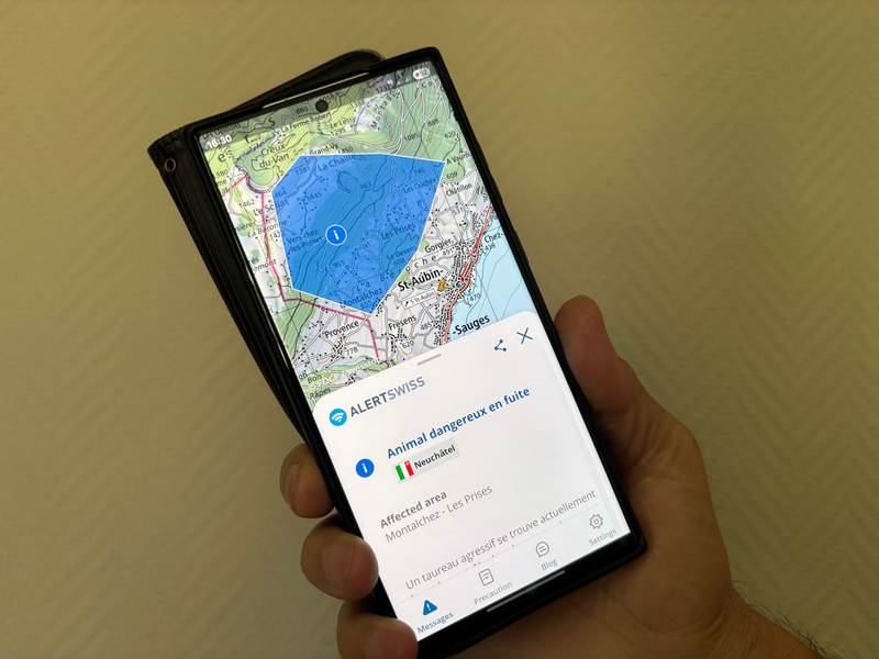 Das Tier wurde gefunden, es wurde niemand verletzt. - Foto: Christiane Oelrich/dpa