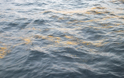 BPOL-CUX: Gewässerverunreinigung in der Nordsee - Tatverdächtiges Fahrzeug festgestellt - Foto: presseportal.de