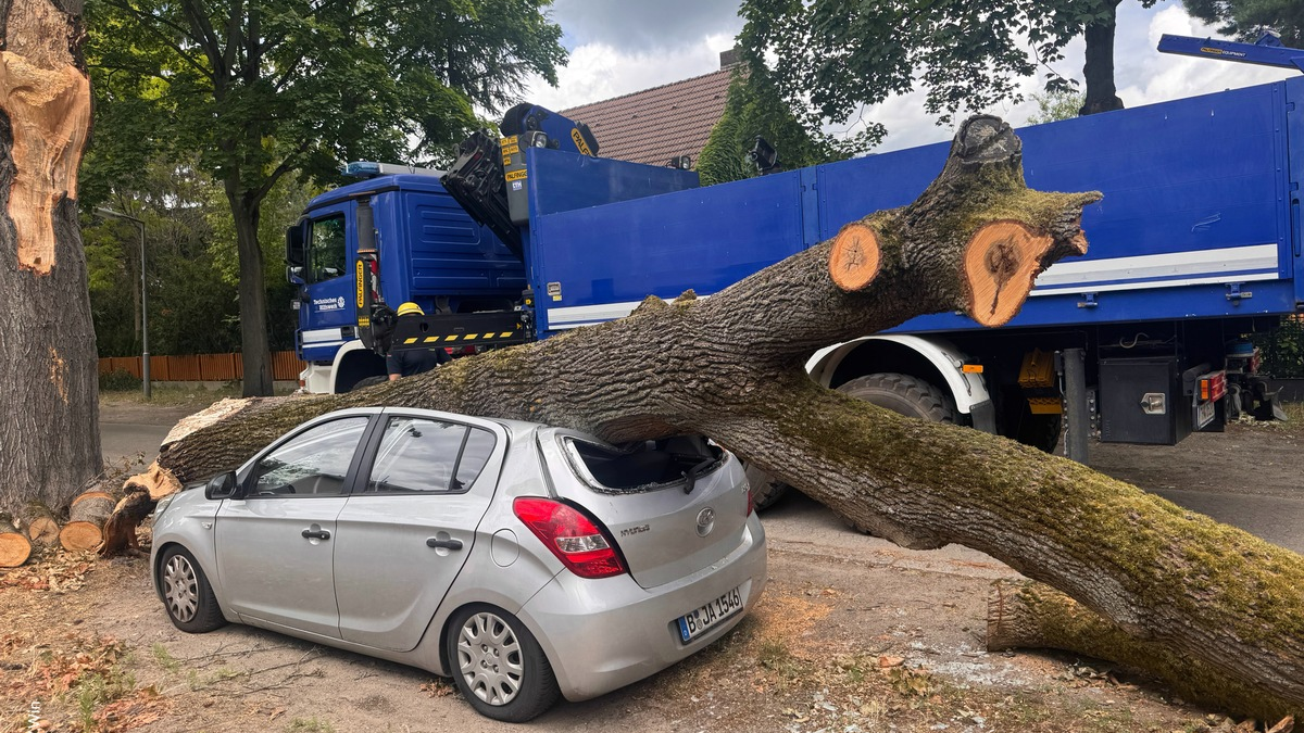 THW LVBEBBST: Das THW unterstützt die Beseitigung von Sturmschäden in Berlin-Reinickendorf - Foto: presseportal.de