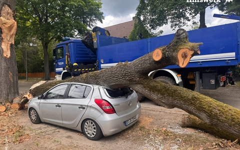 THW LVBEBBST: Das THW unterstützt die Beseitigung von Sturmschäden in Berlin-Reinickendorf - Foto: presseportal.de