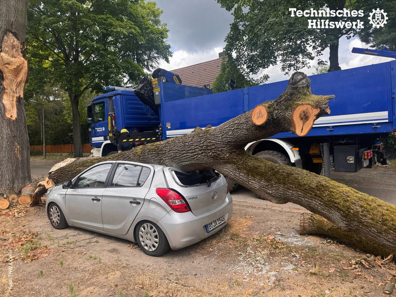 THW LVBEBBST: Das THW unterstützt die Beseitigung von Sturmschäden in Berlin-Reinickendorf - Foto: presseportal.de