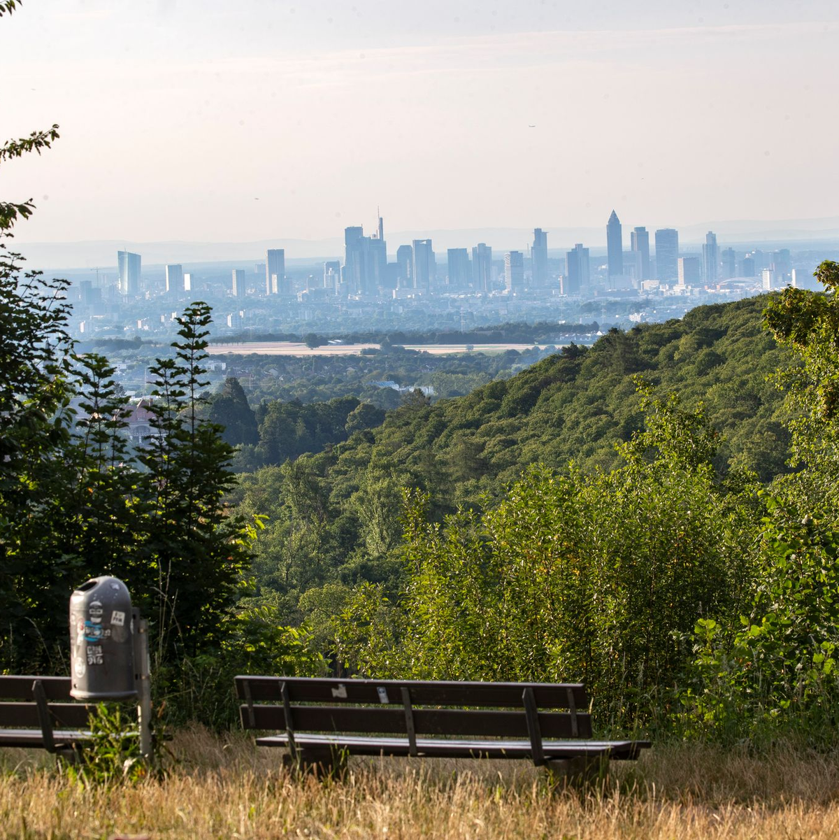 Sonne im Süden und Schauer im Norden zeigt die Wettervorhersage für Sonntag. - Foto: Helmut Fricke/dpa