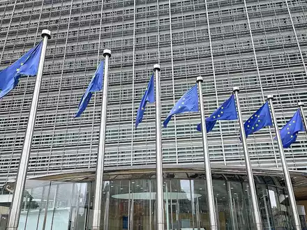 EU-Fahnen (Archiv) - Foto: über dts Nachrichtenagentur