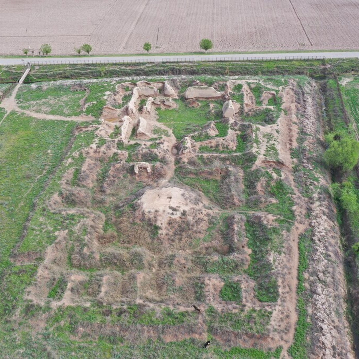 Die Adschina-Teppa Klosterstätte zeugt vom mittelalterlichen Königreich Khuttal (Archivbild). - Foto: Ilcas/Unesco/dpa