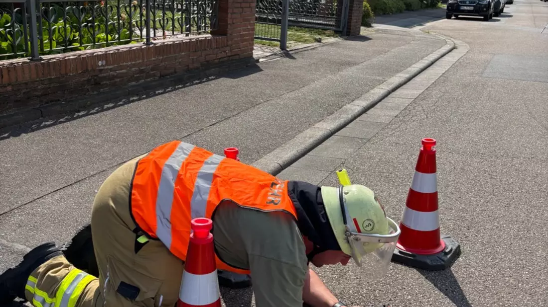 FW Weinheim: Wenn jede Minute zählt, Einsatzmarathon für Weinheims Feuerwehr - Bild: presseportal.de