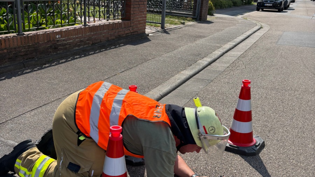 FW Weinheim: Wenn jede Minute zählt, Einsatzmarathon für Weinheims Feuerwehr - Foto: presseportal.de