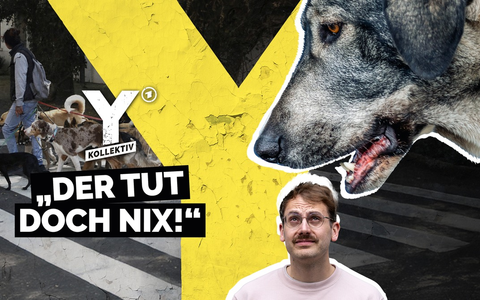Y-Kollektiv: Der tut doch nix - Kann ich meine Angst vor Hunden besiegen? ab 14. Juli in der ARD Mediathek - Foto: presseportal.de