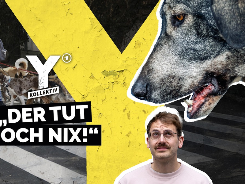 Y-Kollektiv: Der tut doch nix - Kann ich meine Angst vor Hunden besiegen? ab 14. Juli in der ARD Mediathek - Foto: presseportal.de