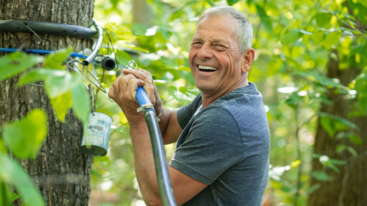 Kanadas Produzenten melden exzellente Ahornernte / Sieben Millionen neue Zapfstellen geplant - Foto: presseportal.de