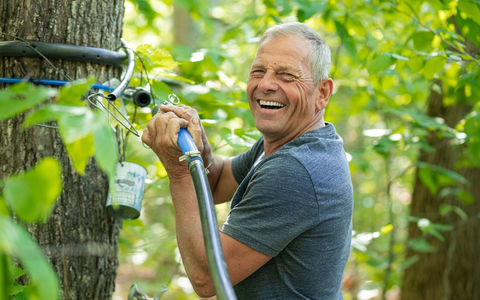 Kanadas Produzenten melden exzellente Ahornernte / Sieben Millionen neue Zapfstellen geplant - Foto: presseportal.de
