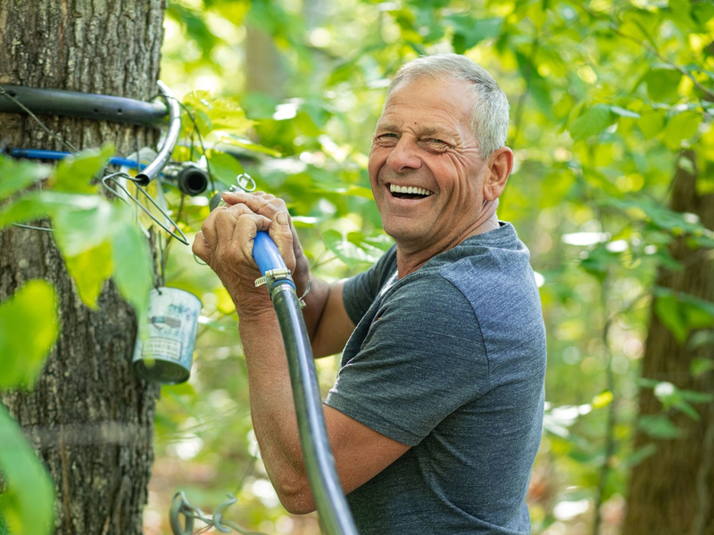 Kanadas Produzenten melden exzellente Ahornernte / Sieben Millionen neue Zapfstellen geplant - Foto: presseportal.de
