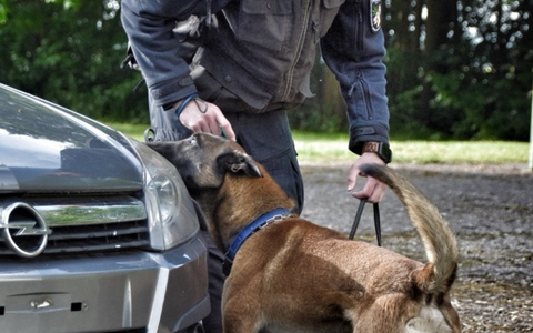 POL-OS: Banknotenspürhunde erschnüffeln über 110.000 Euro bei mehreren Durchsuchungen - Foto: presseportal.de POL-OS: Banknotenspürhunde erschnüffeln über 110.000 Euro bei mehreren Durchsuchungen - Foto: presseportal.de