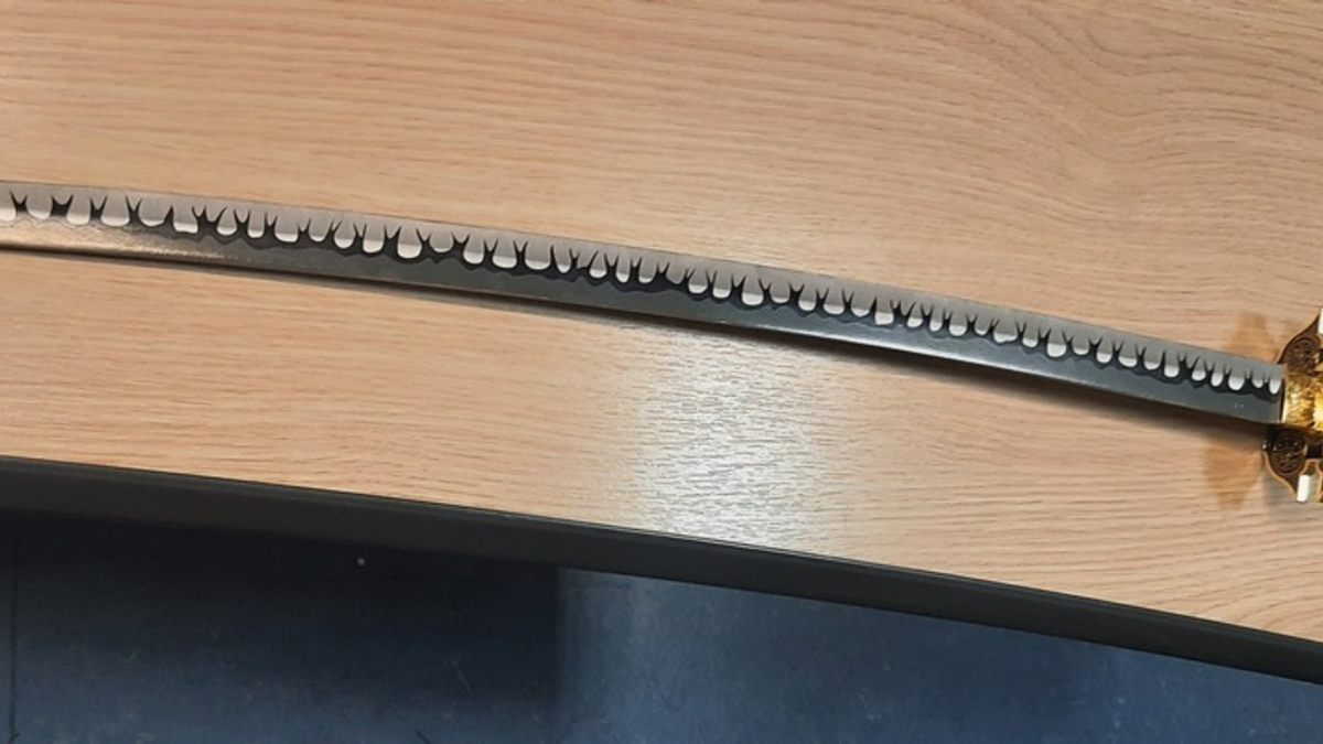 BPOLI C: 17-Jähriger mit japanischem Langschwert am Chemnitzer Hauptbahnhof festgestellt - Foto: presseportal.de