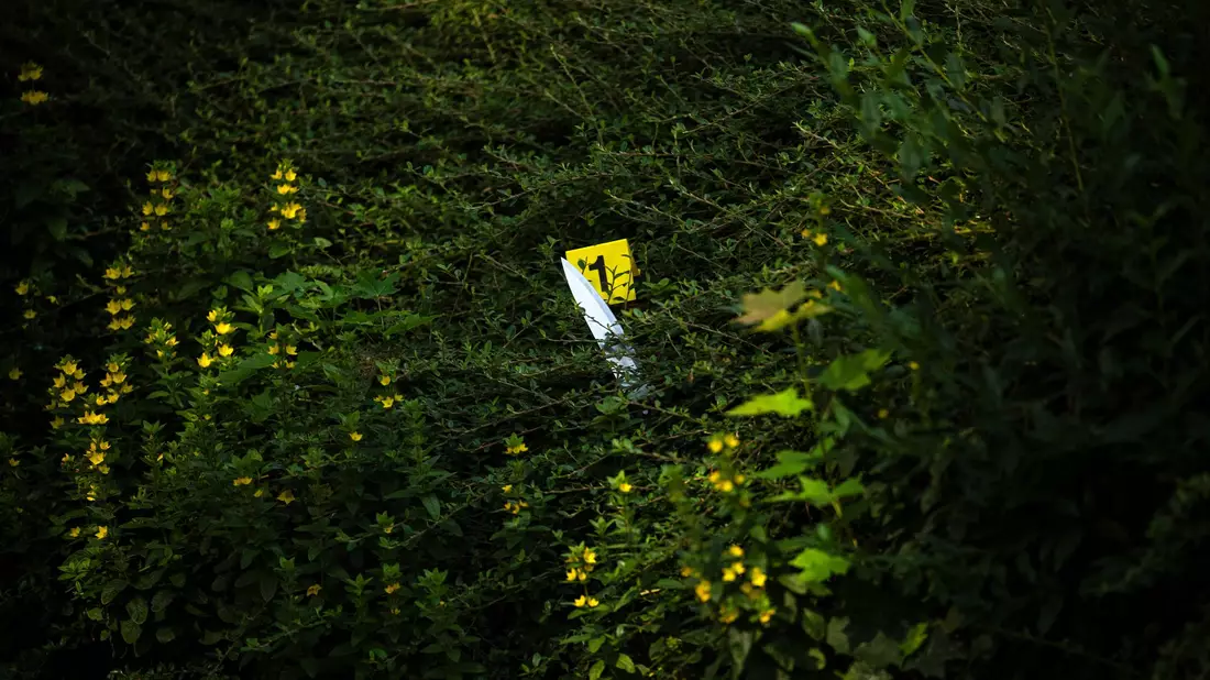 Die Einsatzkräfte untersuchen den Tatort nach Spuren der Auseinandersetzung. - Bild: Sina Schuldt/dpa