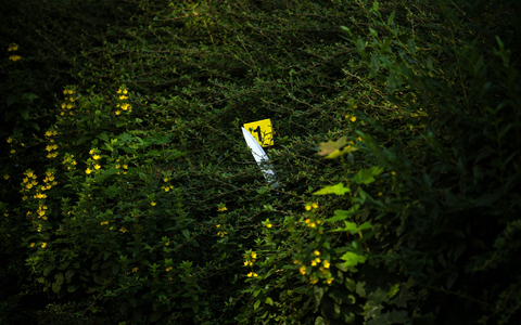 Die Einsatzkräfte untersuchen den Tatort nach Spuren der Auseinandersetzung. - Foto: Sina Schuldt/dpa Die Einsatzkräfte untersuchen den Tatort nach Spuren der Auseinandersetzung. - Foto: Sina Schuldt/dpa