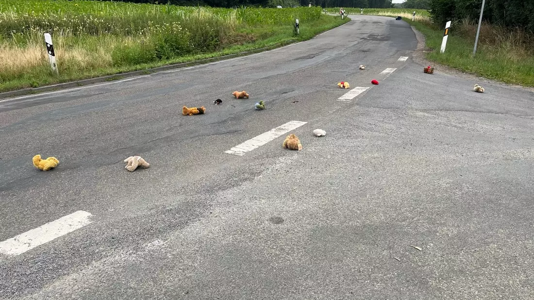 POL-COE: Olfen, Waltroper Straße/Kuscheltiere auf der Fahrbahn, Besitzer gesucht - Bild: presseportal.de