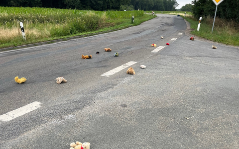 POL-COE: Olfen, Waltroper Straße/Kuscheltiere auf der Fahrbahn, Besitzer gesucht - Foto: presseportal.de