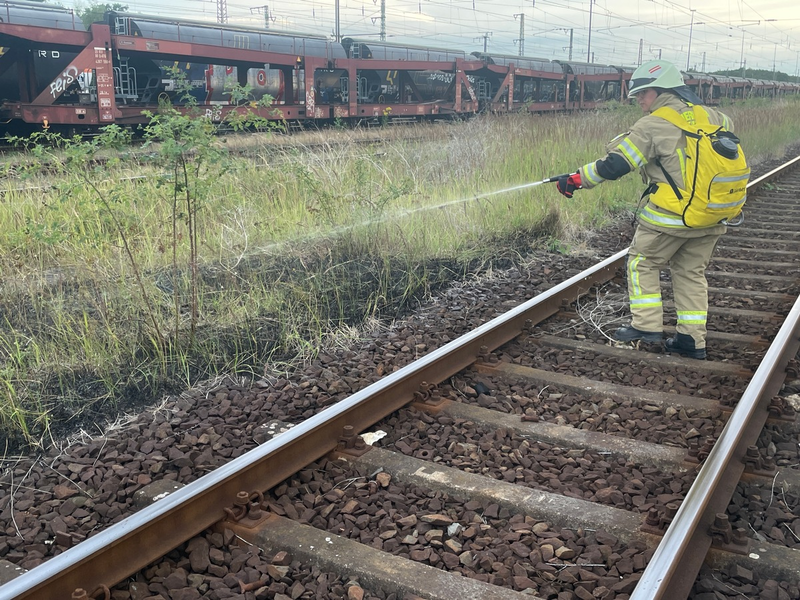 FW Lehrte: Böschungsbrand zwischen den Bahngleisen bei Lehrte - Foto: presseportal.de