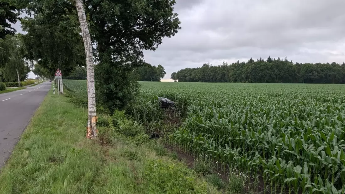 POL-ROW: ++ Schwerer Verkehrsunfall in Seedorf - Polizei sucht Zeugen ++ Diebe klauen Kupferkabel in Scheeßel ++ Zeugin meldet Fehlverhalten von Herrchen: Polizei ermittelt nach dem Tierschutzgesetz ++ - Bild: presseportal.de