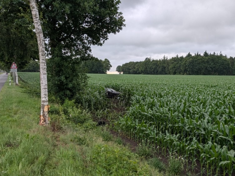 POL-ROW: ++ Schwerer Verkehrsunfall in Seedorf - Polizei sucht Zeugen ++ Diebe klauen Kupferkabel in Scheeßel ++ Zeugin meldet Fehlverhalten von Herrchen: Polizei ermittelt nach dem Tierschutzgesetz ++ - Foto: presseportal.de