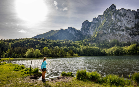 Waldluftbaden am Laudachsee - Foto: TVB Traunsee-Almtal/Löff über pressetext.de