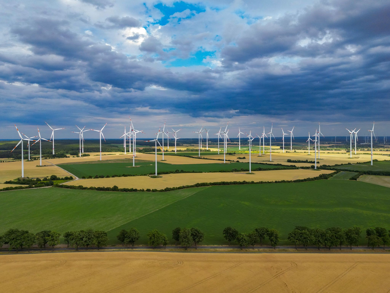 Nie zuvor wurden so viele neue Windräder in Deutschland genehmigt.  - Foto: Patrick Pleul/dpa