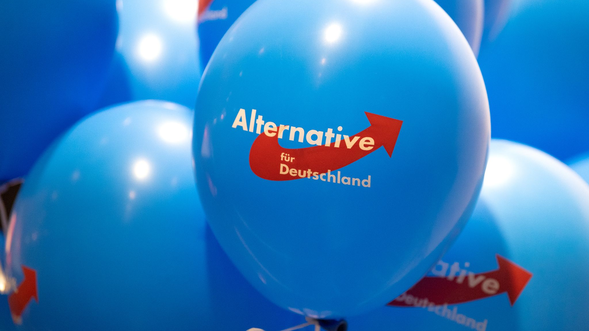 Dürfen AfD-Mitglieder in Rheinland-Pfalz nicht in den öffentlichen Dienst übernommen werden? Das wird letztlich im Einzelfall entschieden. (Symbolbild) - Foto: Monika Skolimowska/dpa-Zentralbild/dpa
