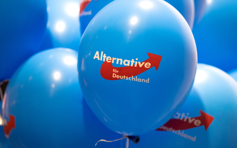 Dürfen AfD-Mitglieder in Rheinland-Pfalz nicht in den öffentlichen Dienst übernommen werden? Das wird letztlich im Einzelfall entschieden. (Symbolbild) - Foto: Monika Skolimowska/dpa-Zentralbild/dpa