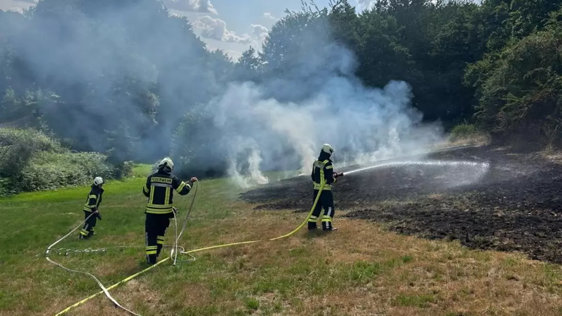 FW-EN: Wiese brennt am Wiggers - Feuer droht auf Wald überzugreifen - Bild: presseportal.de