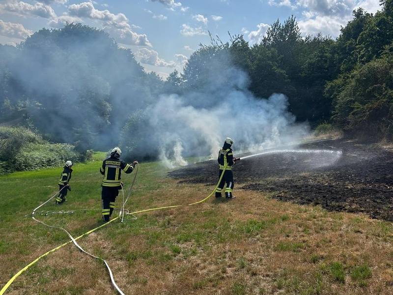 FW-EN: Wiese brennt am Wiggers - Feuer droht auf Wald überzugreifen - Foto: presseportal.de