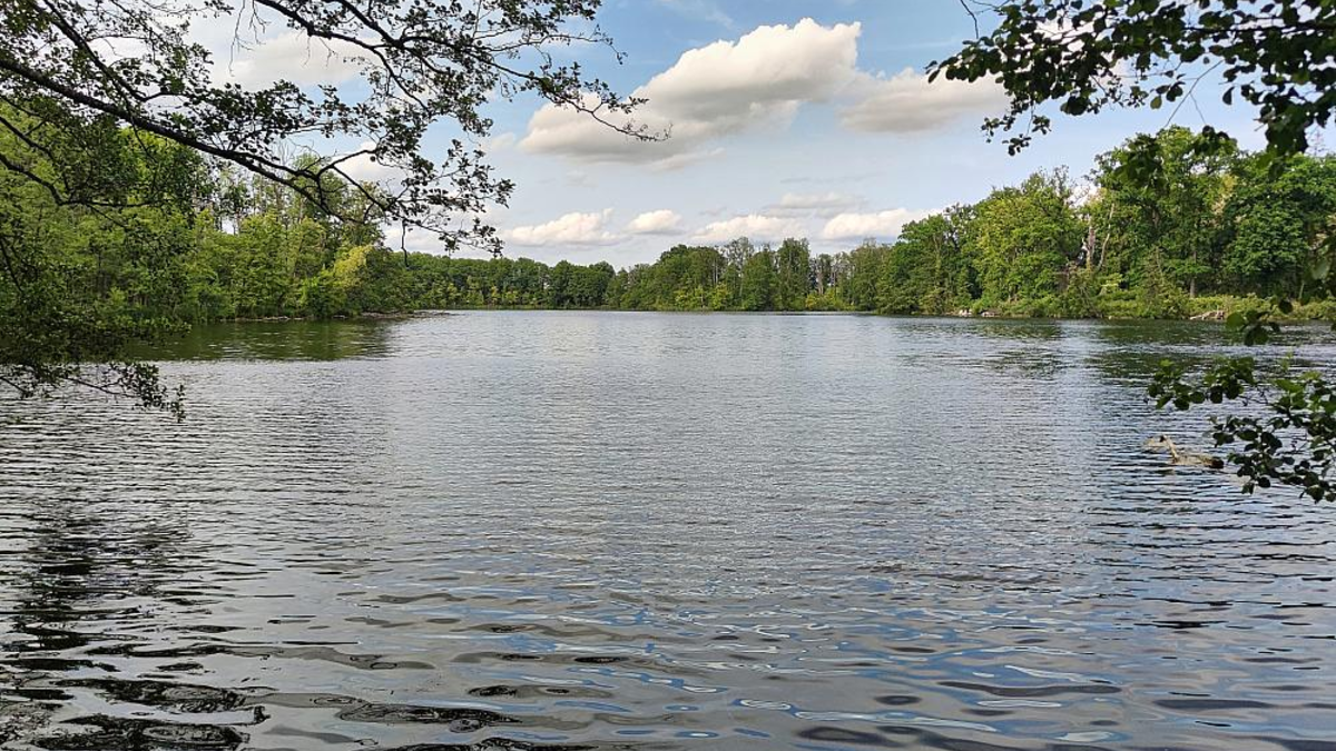 Badesee (Archiv) - Foto: über dts Nachrichtenagentur