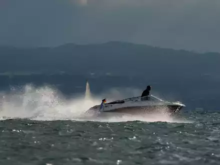 Schnelle Motorboote bringen zwar Spaß, können aber Pflanzen und Tieren in Seen enorm zusetzten. (Archivbild)  - Foto: Felix Kästle/dpa