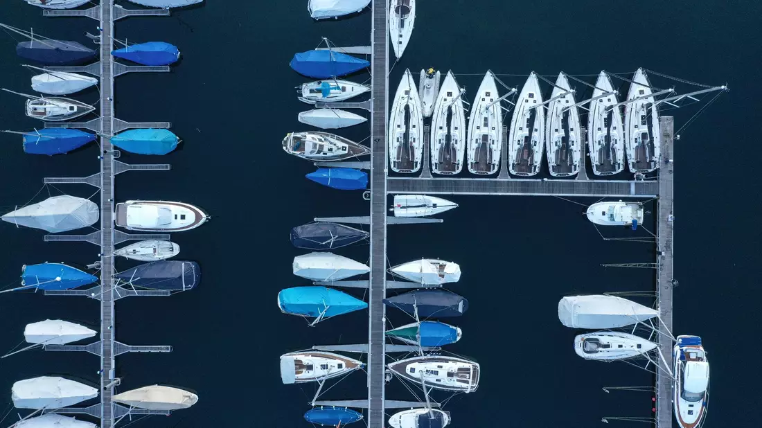 Die Forschenden empfehlen strengere Regeln für Schifffahrt und Bootstourismus. - Bild: Felix Kästle/dpa