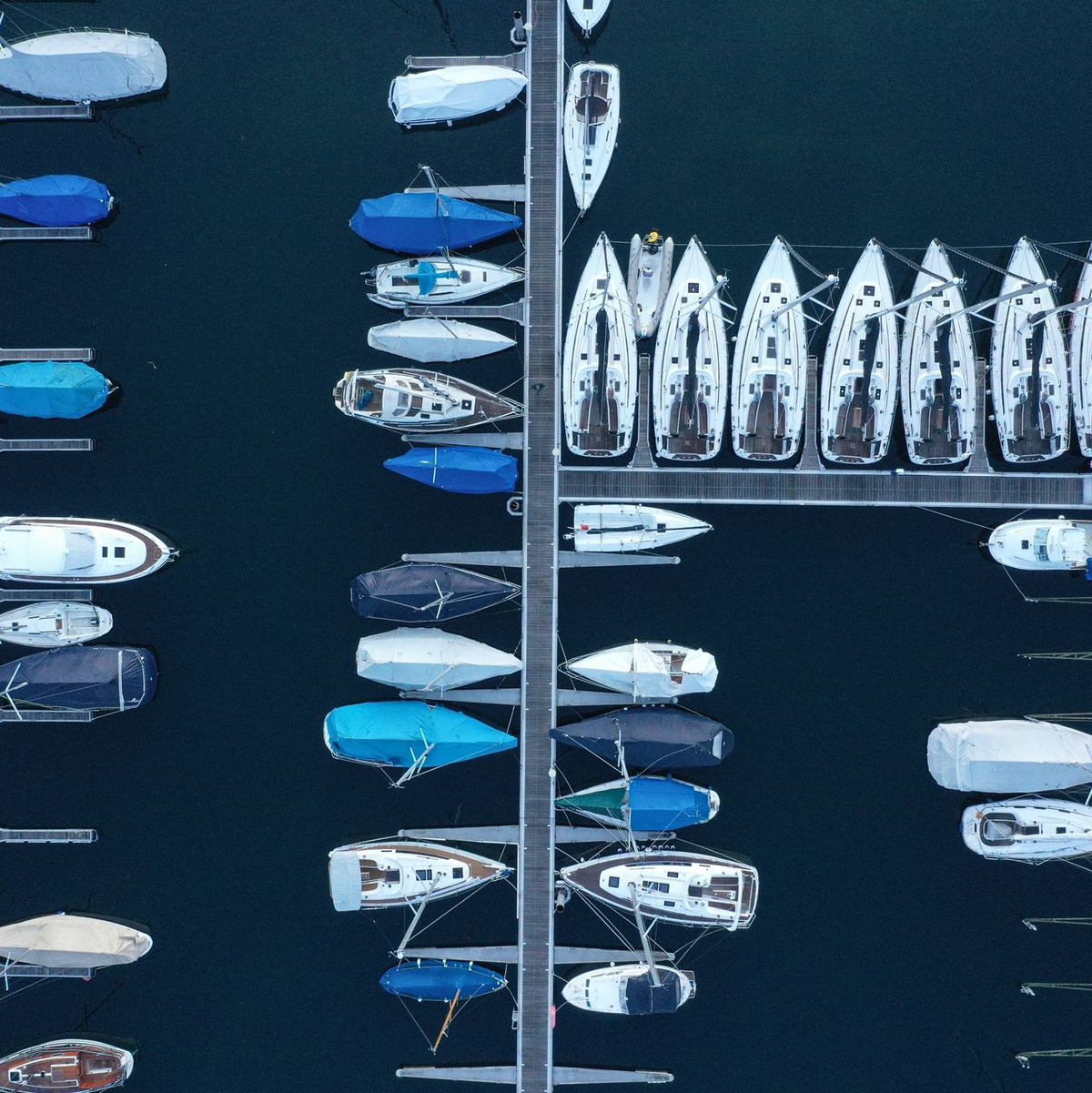 Die Forschenden empfehlen strengere Regeln für Schifffahrt und Bootstourismus. - Foto: Felix Kästle/dpa