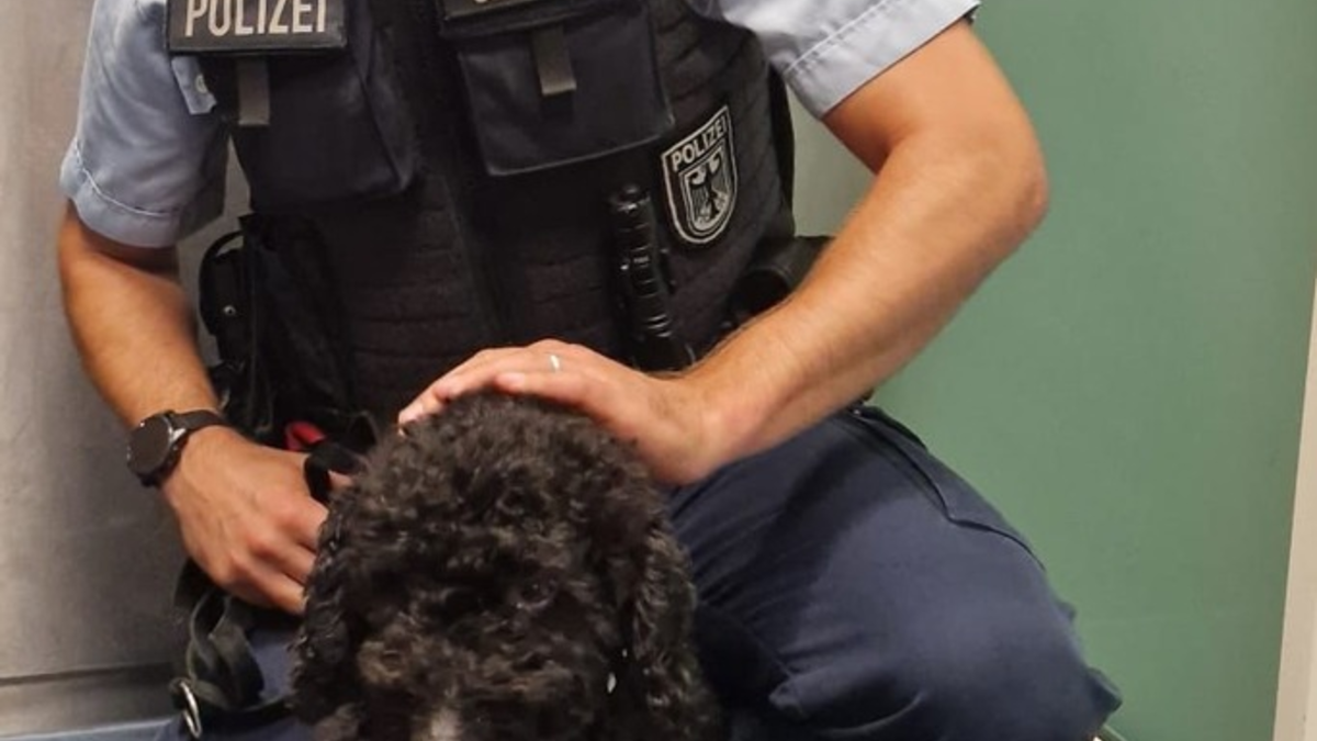 POL-OG: Mittelbaden - Mit guten Nachrichten ins Wochenende - Foto: presseportal.de