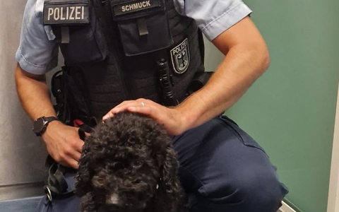 POL-OG: Mittelbaden - Mit guten Nachrichten ins Wochenende - Foto: presseportal.de