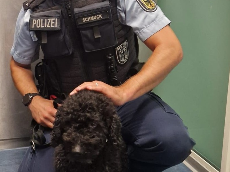 POL-OG: Mittelbaden - Mit guten Nachrichten ins Wochenende - Foto: presseportal.de