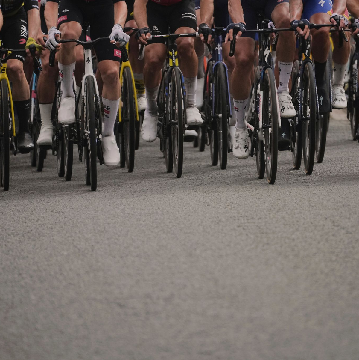 Radsport war seine Passion: Der erst 19-jährige Samuele Privitera stirbt nach einem Sturz. - Foto: Thibault Camus/AP/dpa