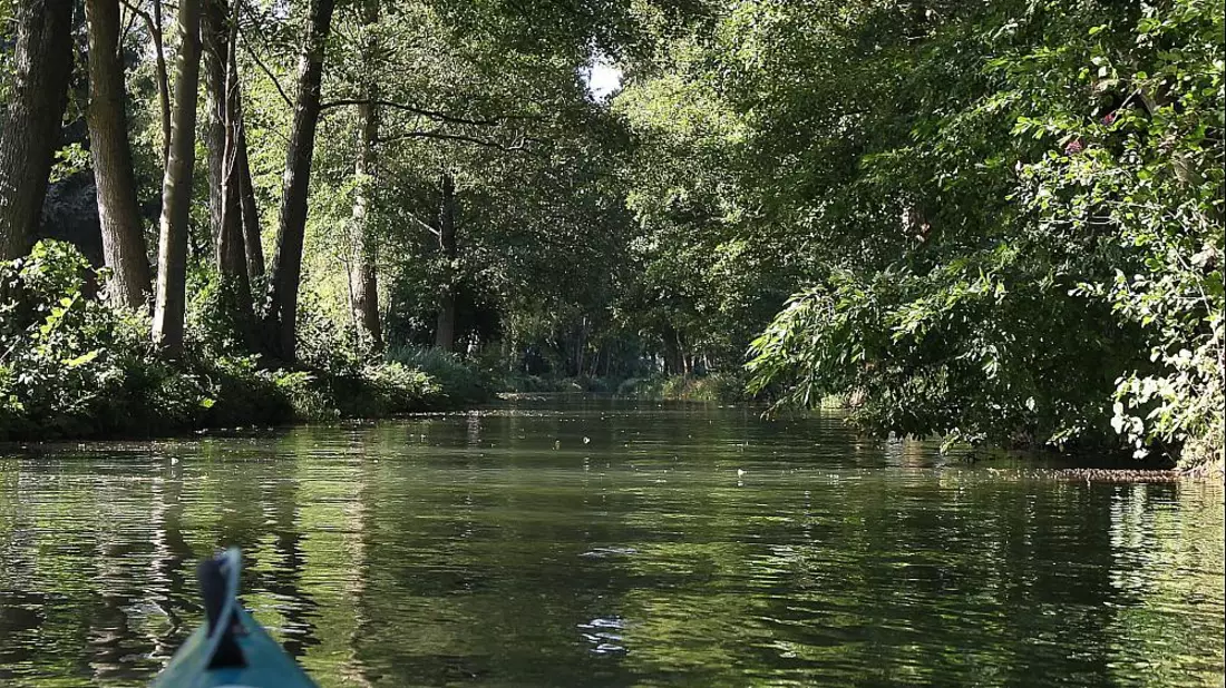 Spreewald (Archiv) - Bild: über dts Nachrichtenagentur
