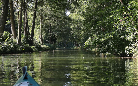Spreewald (Archiv) - Foto: über dts Nachrichtenagentur