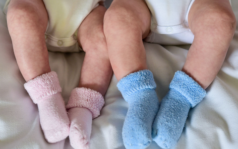 Die Geburtenrate ist in Deutschland wieder gesunken, jedoch langsamer als zuvor. (Symbolbild) - Foto: Patrick Pleul/dpa-Zentralbild/dpa