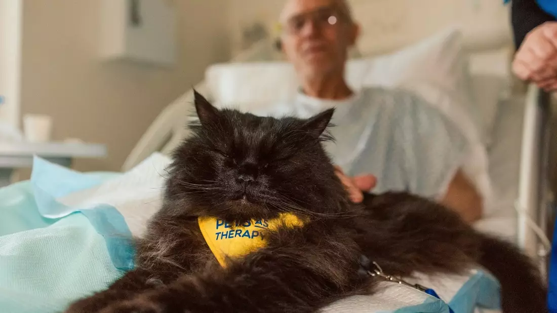 PURINA verleiht zum vierten Mal den BetterwithPets Prize und fördert Organisationen, die sich der Kraft der Mensch-Tier-Beziehung widmen - Bild: presseportal.de